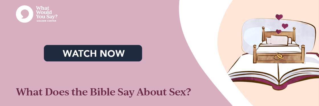 WWYS What Does the Bible Say About Sex Email Graphic